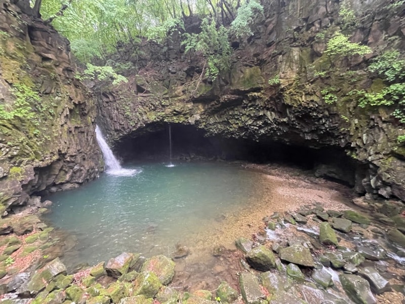 216 반려동물 화분수목장, 포천 비둘기낭 캠핑장