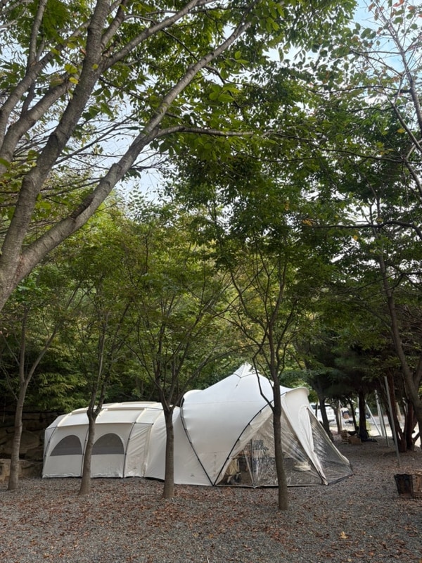 [주말엔캠핑]#16 칠곡 행화촌자연테마파크 1구역 10사이트