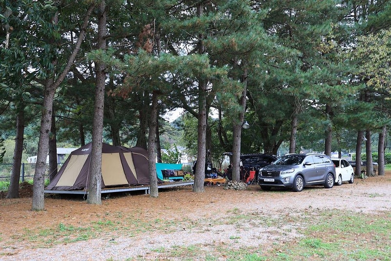 팔봉참살이오토캠핑장 시설 사진 2