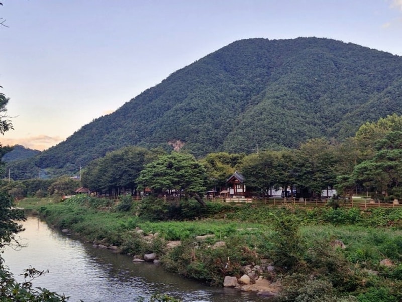 요즘 방문하면 너무 좋은 함양캠핑장 농월정 오토캠핑장 캐빈6...