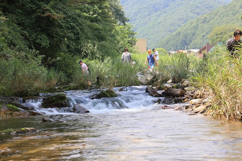 원주 우리 캠핑장 시설 사진 11