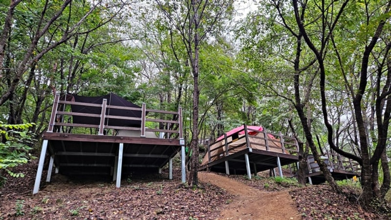 아산 영인산자연휴양림 숲속야영장 A 지구(일반) 19번 데크...