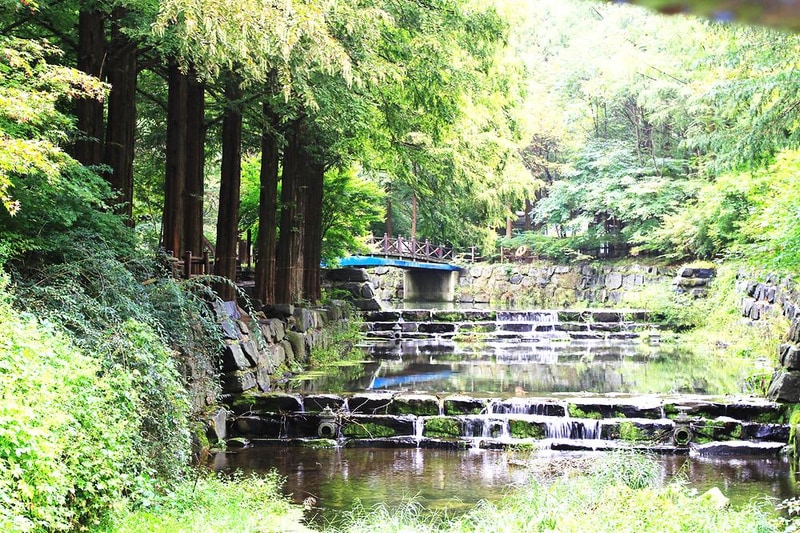 장태산 자연휴양림 시설 사진 1