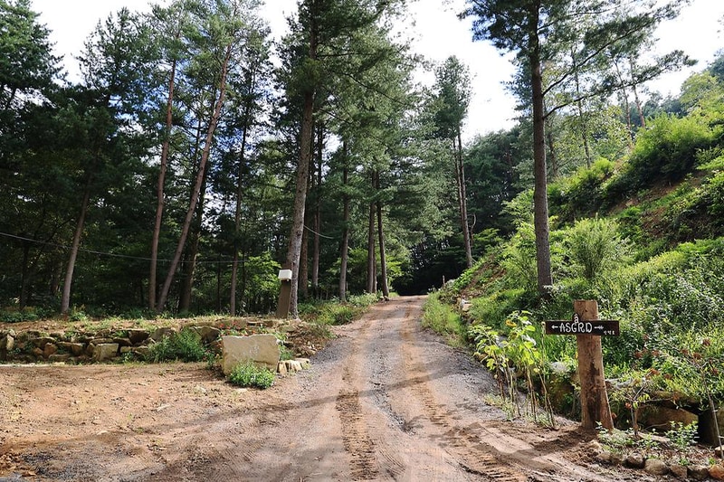 노섬브리아 야영장 시설 사진 8