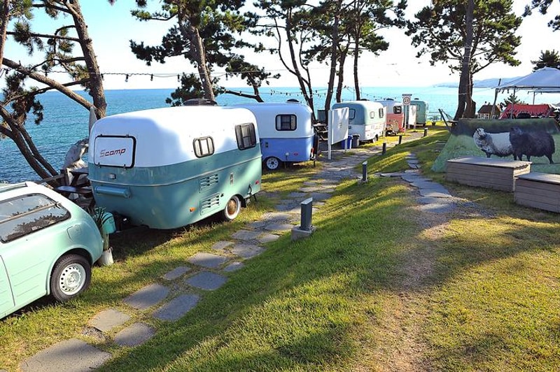 더무빙카라반 대표 사진