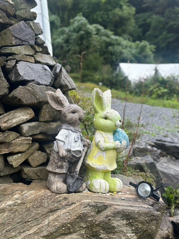 별 보러 평창 여행, 코뿔소글램핑 후기