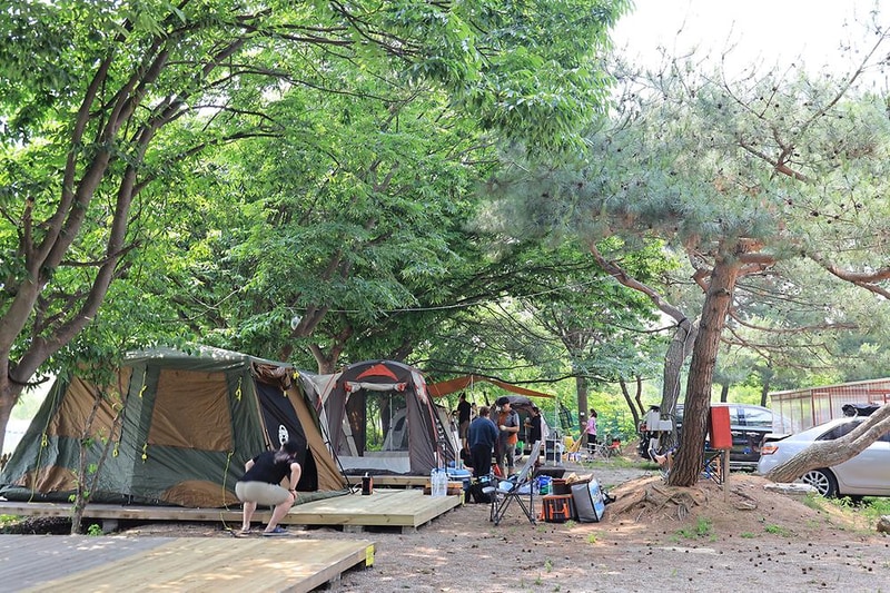 황산도캠핑장 시설 사진 1