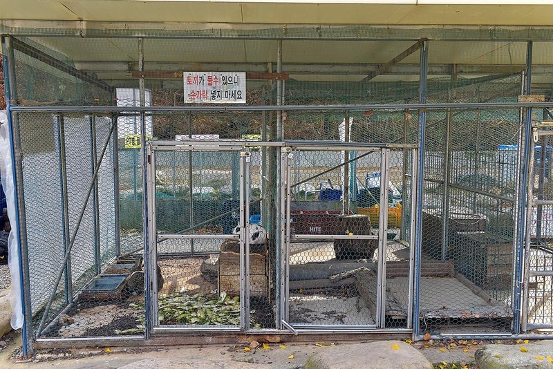 숲이조아 오토캠핑장 시설 사진 8