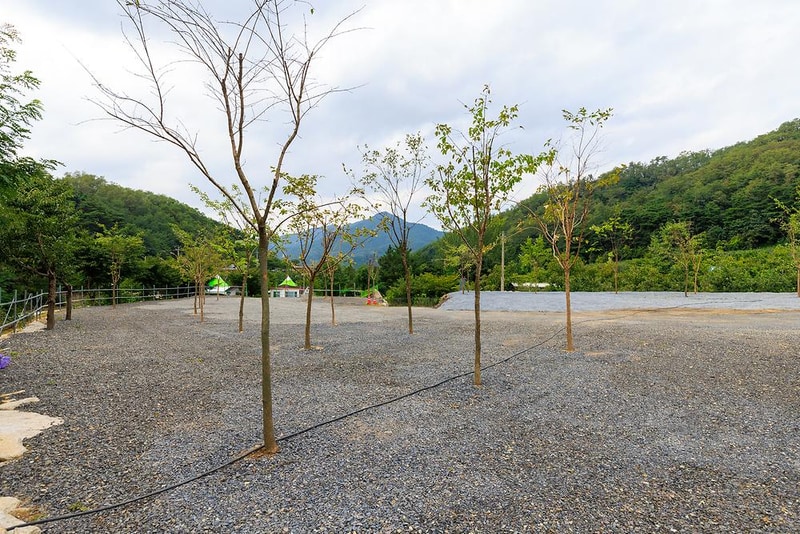 군위 솔밭야영장 시설 사진 2