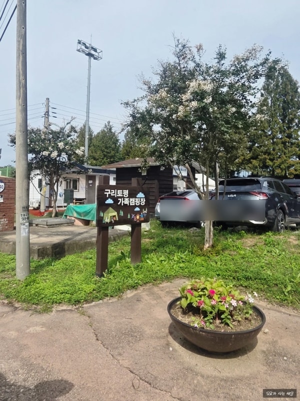 구리 토평 가족 캠핑장 D 구역 이지 바비큐 후기