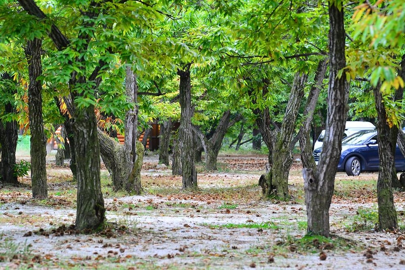 무지개 서는 마을 시설 사진 11