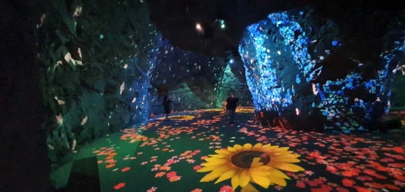 정선 5일장 향토음시점 모마루, 화암동굴, 화암약수 야영장)