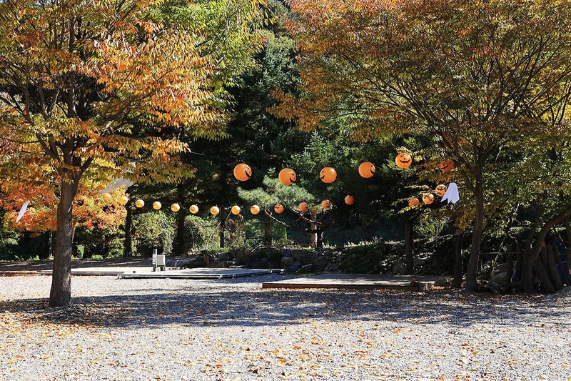 포도밸리 캠핑장 시설 사진 3