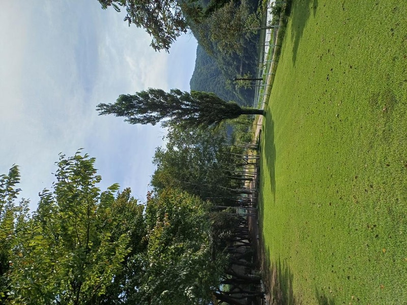 설하관광농원 시설 사진 1