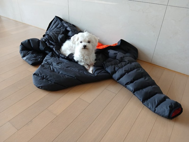 가평 무릉도원 캠핑장