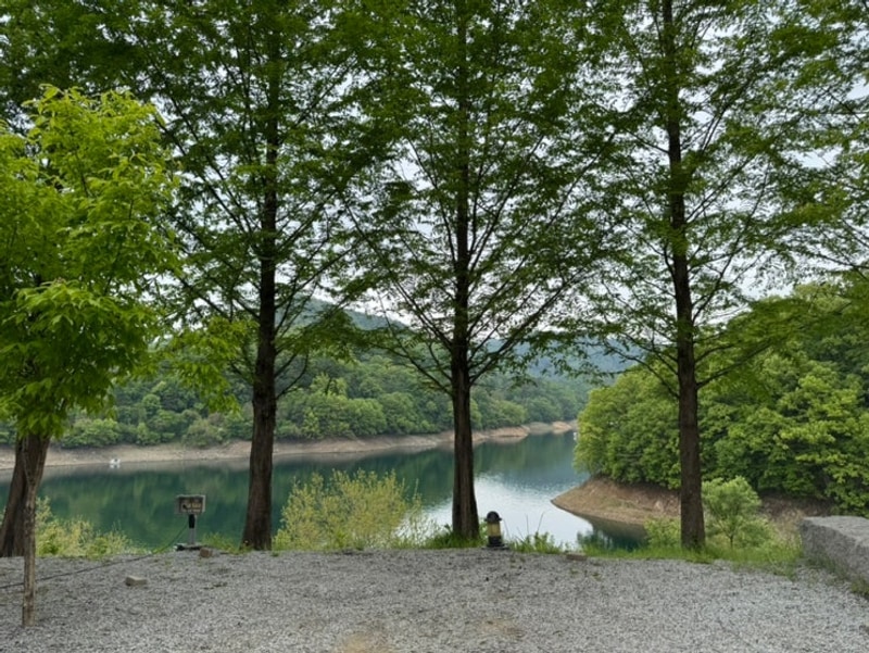 [충북/충주] 멋진 나무와 호수 뷰가 있는 충주카누캠핑장...
