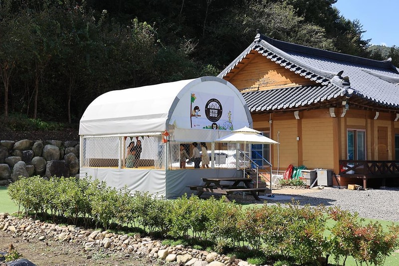 보랏빛오토캠핑장 시설 사진 20