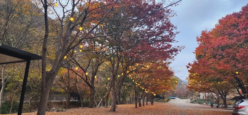 이안힐링랜드 시설 사진 5