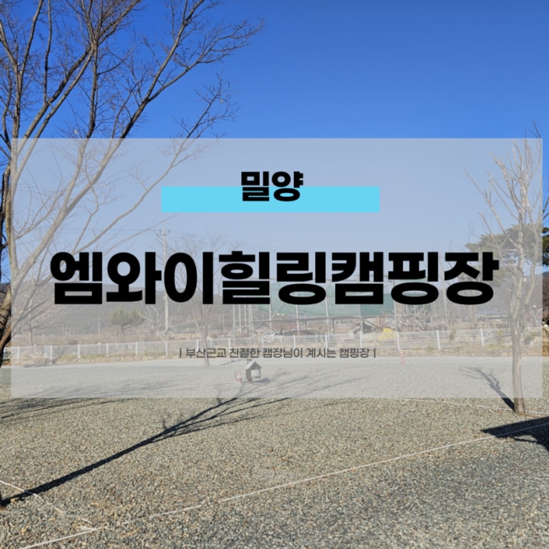 부산근교 캠핑장 추천 밀양 엠와이힐링캠핑장