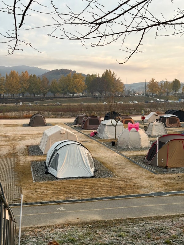 애견동반 가능한 아산 곡교천야영장