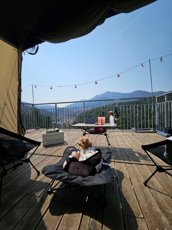 가평 애견동반 캠핑장 - 가평무릉도원캠핑장, 대5번 사이트