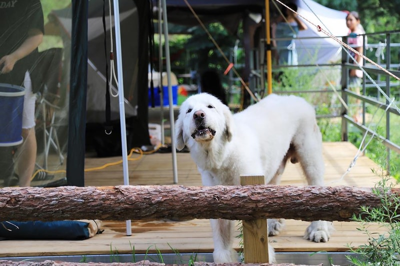 미산분교 캠핑장 시설 사진 4