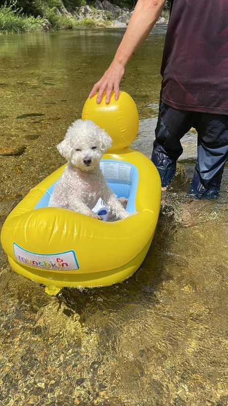 울진 산내들 관광 농원 캠핑장 카라반 펜션