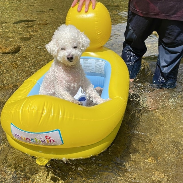 산내들 관광농원 대표 사진