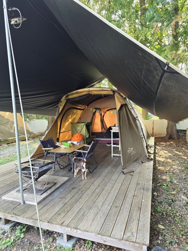 서울근교 애견동반글램핑 강화캠핑파크에서 즐거운 1박