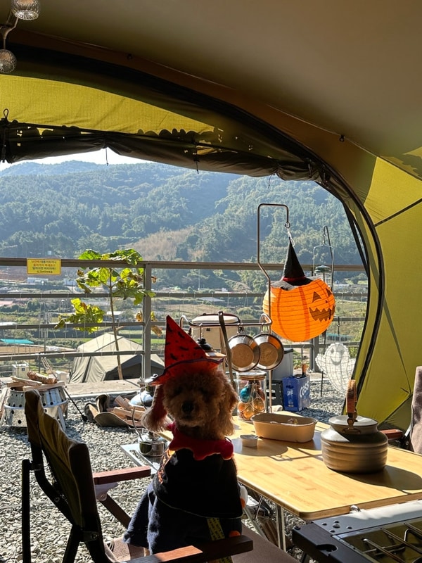 경남 남해 애견동반 갈현동화마을 오토 캠핑장 사이트 소개...