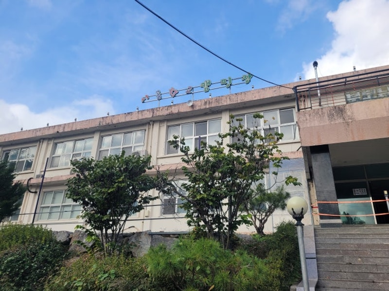 제천 시골학교캠핑장 실제 후기 대방출(S사이트 예약)!