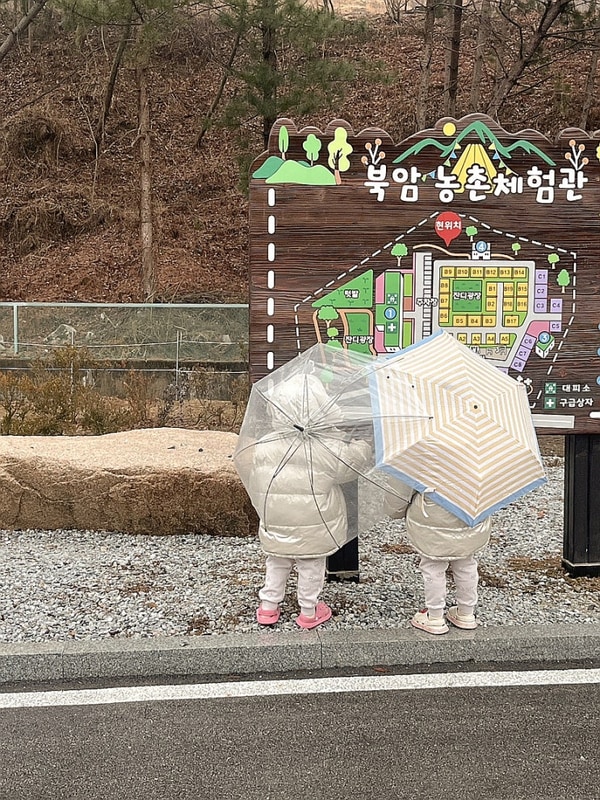 대전 근교 키즈캠핑장 추천 충북 보은 북암농촌체험관 캠핑장