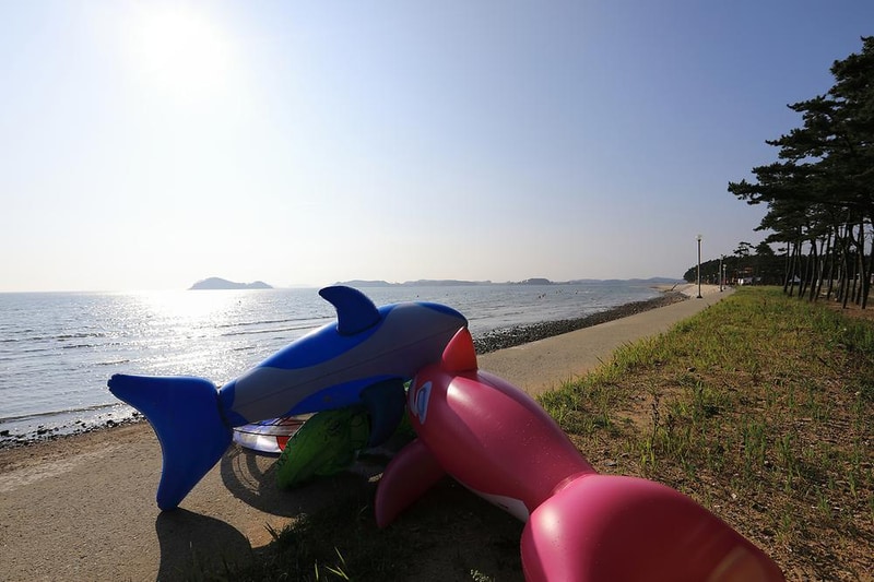 백사장사계절 숲속야영장 시설 사진 5