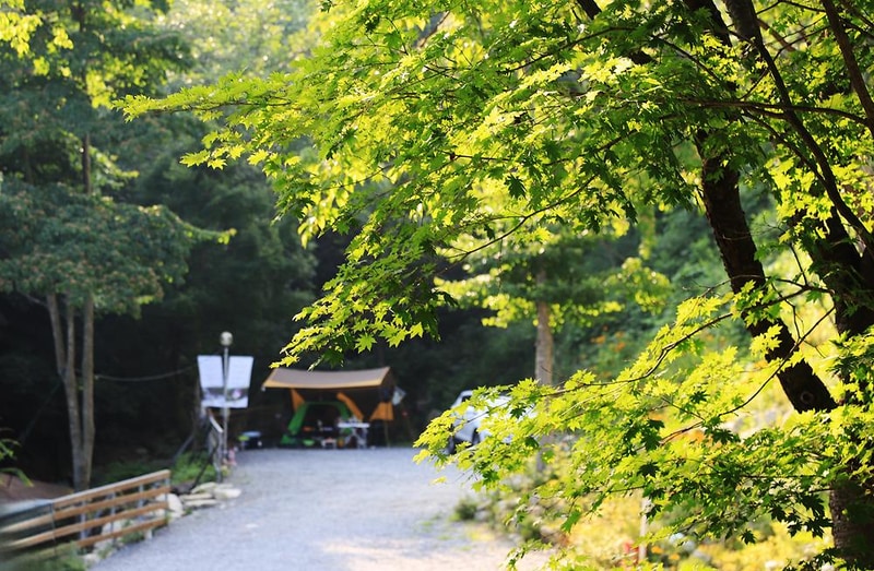 매봉힐링캠프 시설 사진 9