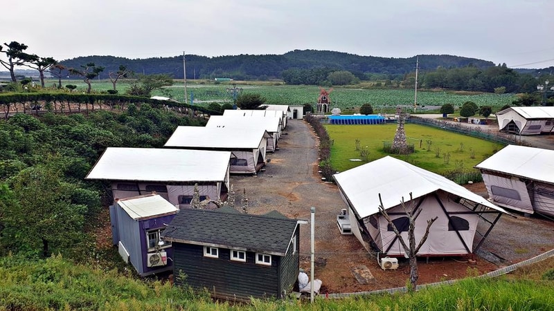 태안 안면도 비비애견동반캠핑장 시설 사진 14