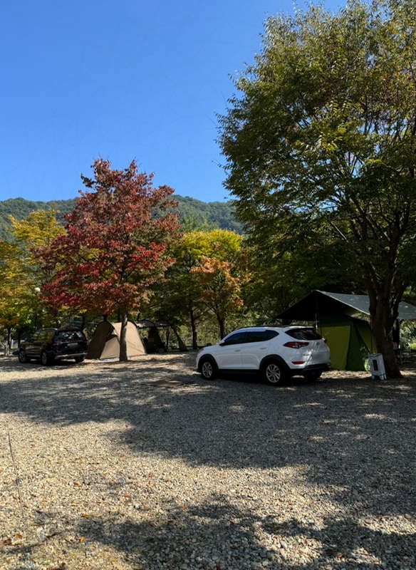 가평 블루래빗 오토캠핑장에 머문 잔잔한 하루 기록:)