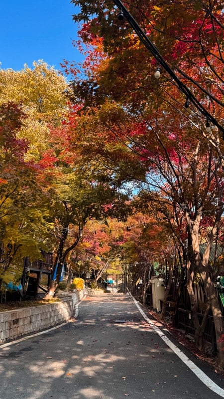 [캠핑일기] 우캠소 시즌4 - 동두천 벨라 캠핑장 (단풍캠)