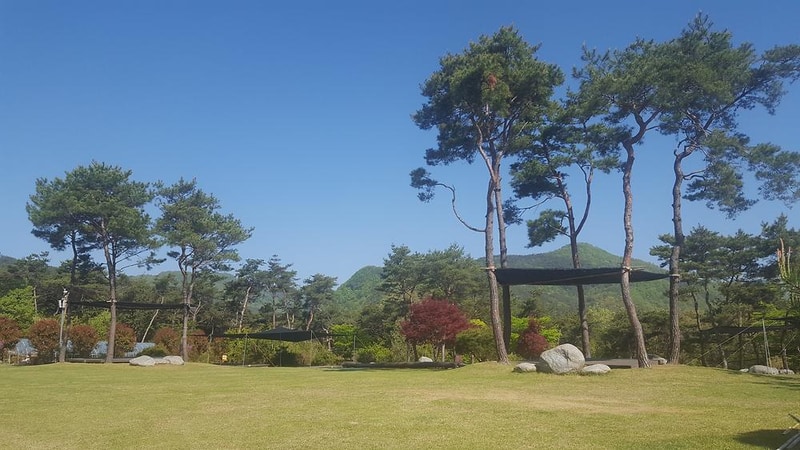 숲속의베리팜 시설 사진 17