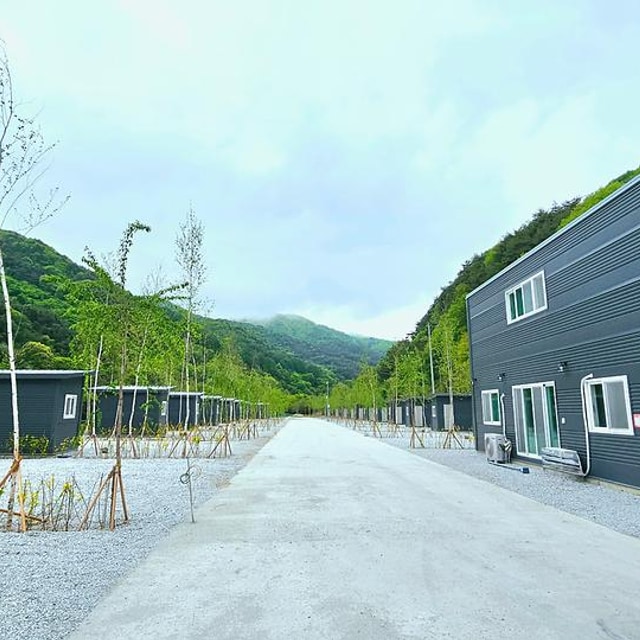 자작나무뜰 오토캠핑장