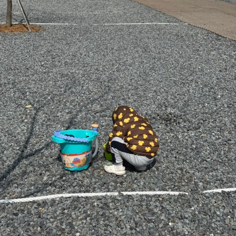 [ 캠린이 캠핑일기 ] 캠프해놀 태안 캠핑장추천 바다캠핑(C5)...