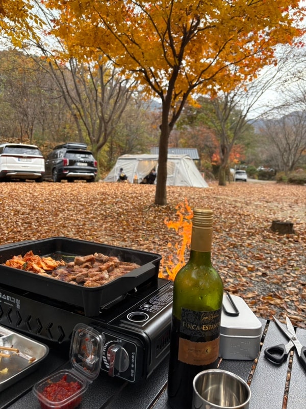 리스캐빈 캠핑장 양평 가평 가을 단풍 캠핑 명당 선착순