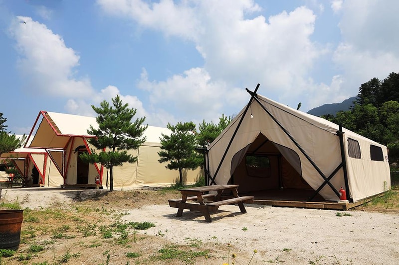 연지곤지팜캠핑장 시설 사진 17