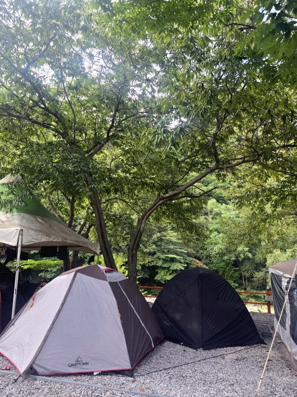 [#97]강원도 영월 김삿갓계곡 캠핑장 올해 마지막 물놀이...