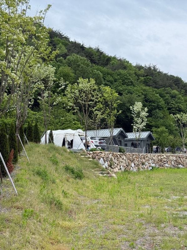 경주 | 산내면 ‘숲속 캠핑팜’ A-8 / 경주 • 울산 근교...
