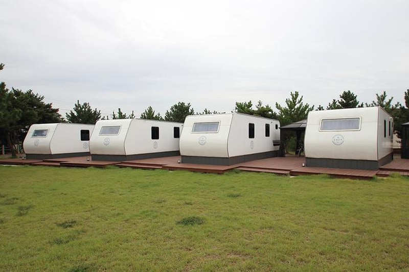 다온 대표 사진