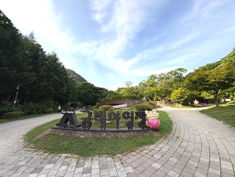 [강원도 원주] 치악산 금대자동차야영장 - 24번 사이트