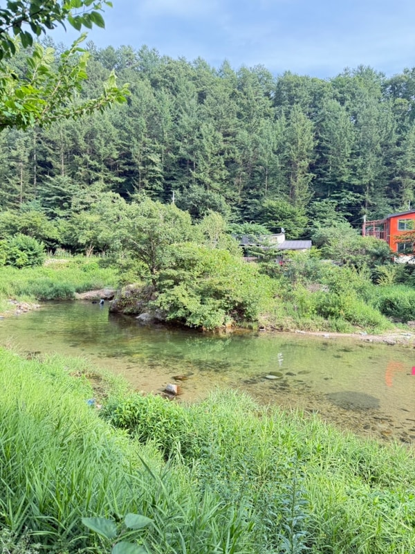 2025 여름 시즌 횡성 수심 깊은 신대 계곡 앞 신대리 야영장