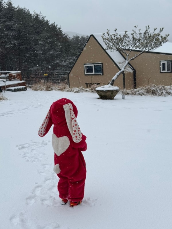 팔공산 감성 글램핑 트리풀
