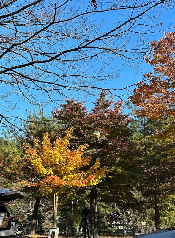 가평 블루래빗 오토캠핑장에서 보낸 조용한 주말의 한때:)