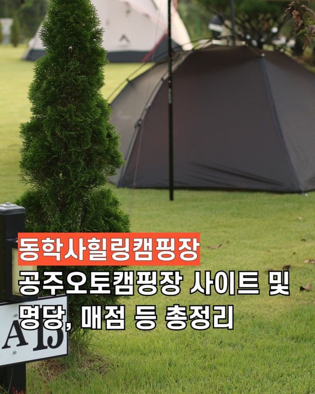 공주오토캠핑장 동학사힐링캠핑장 명당 사이트 매점 샤워실...